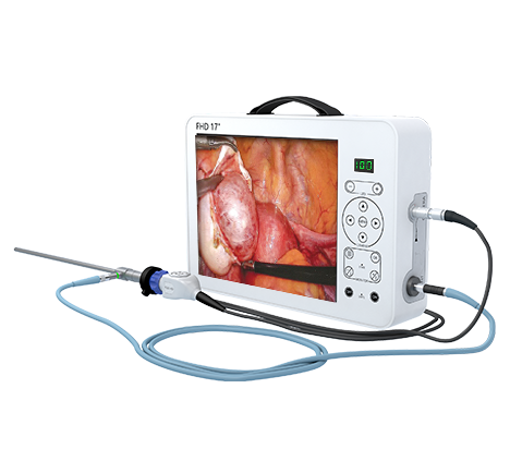 Portable FHD Endoscope Camera Unit 17"