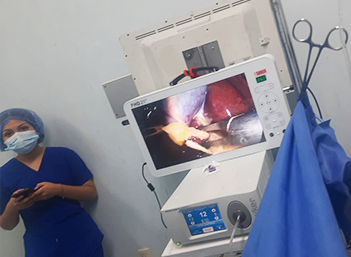 Portable FHD Endoscope Camera Unit 21”
