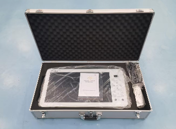 Portable FHD Endoscope Camera Unit 21”